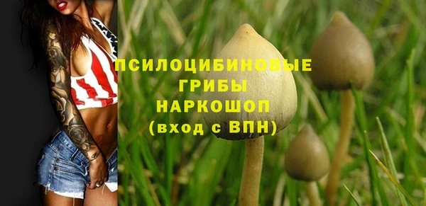 амф Алексеевка
