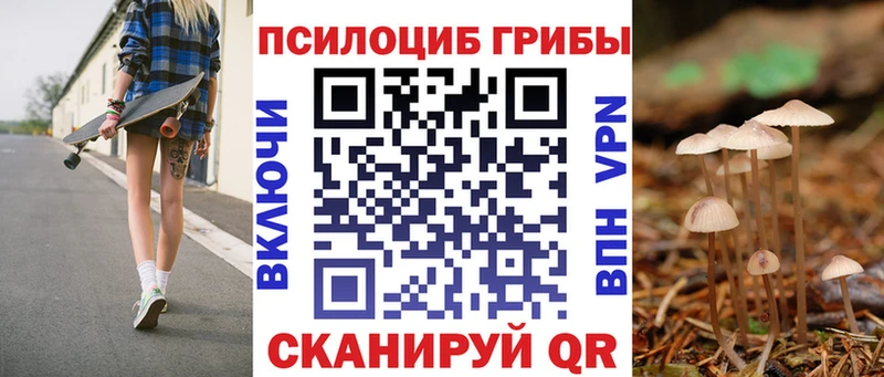 Псилоцибиновые грибы мухоморы  наркотики  Заволжье 